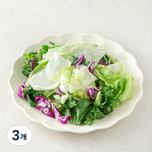 데일리 베이직 믹스 파우치 샐러드 채소, 80g, 3개, 1개입