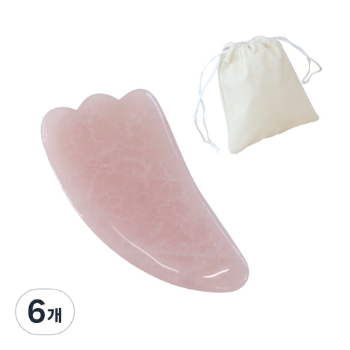 호스커스 로즈쿼츠 괄사 도구 + 보관파우치, 6개, 날개