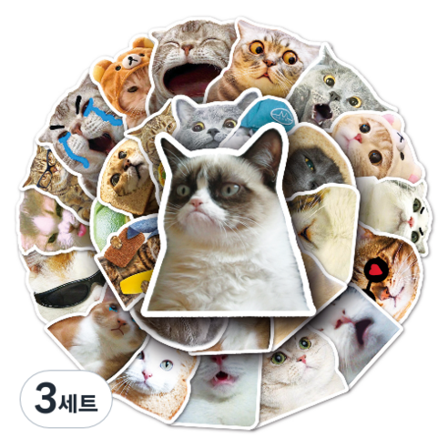 문곰상점 감성 다이어리 꾸미기 캐리어 스티커 50종 세트, 귀여운 고양이, 3세트