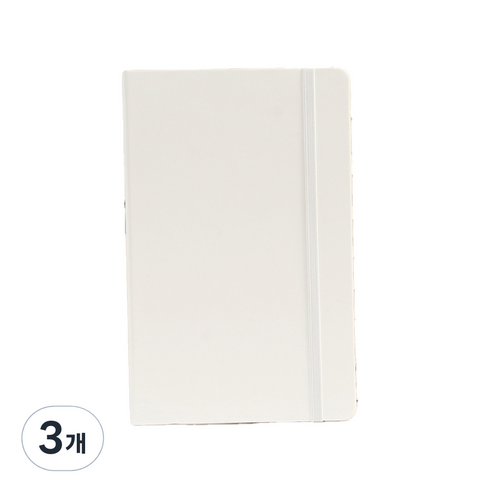 레더 무선 밴드 노트 A5, 화이트, 3개