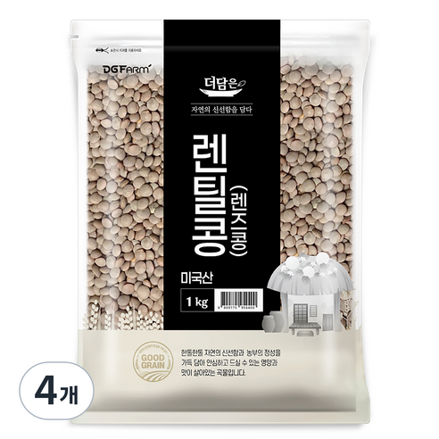 더담은 미국산 렌틸콩 렌즈콩, 1kg, 4개