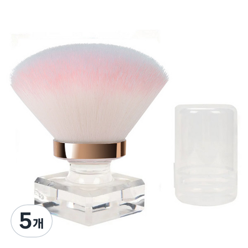 카카스 고급형 더스트 브러쉬 KN-B3071, 혼합색상, 5개