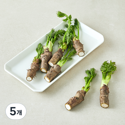 참두릅, 5개, 150g