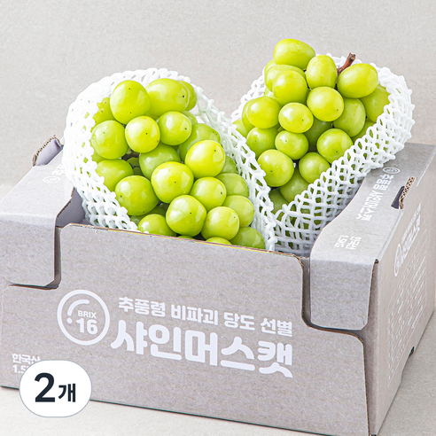 한반도 비파괴 당도선별 샤인머스켓, 1.5kg, 2개
