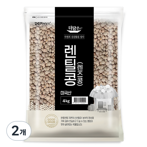 더담은 미국산 렌틸콩 렌즈콩, 4kg, 2개
