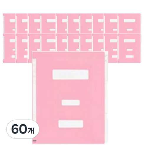 PP 정부화일, 분홍색, 60개