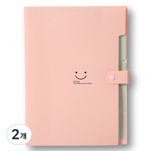 아스터 5칸 아코디언 파일 정리함 바인더, 연핑크, 2개