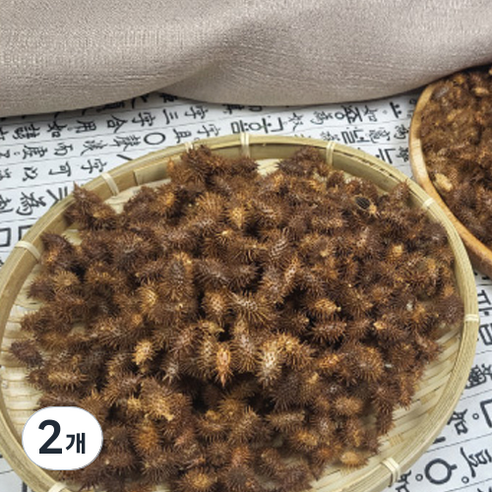 월드블링 창이자 도꼬마리, 200g, 2개