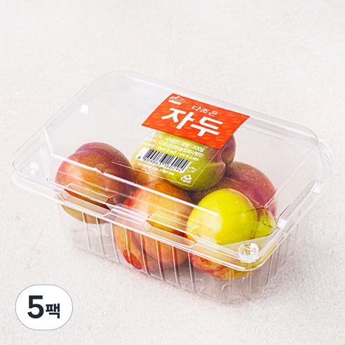 다조은 김천 자두(4~6입), 300g, 5팩