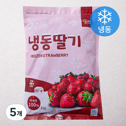 국내산 딸기 (냉동), 1kg, 5개