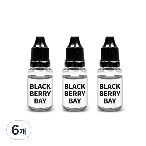 디씨네트워크 차량용 방향제 리필오일 15ml, 6개, 블랙베리베이