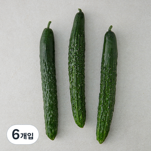 국내산 가시오이