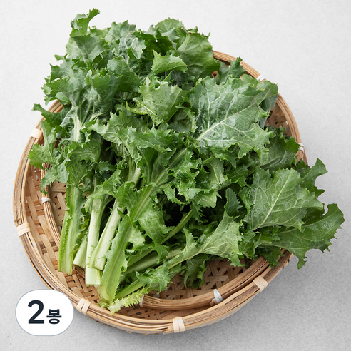 친환경 치커리, 300g, 2봉