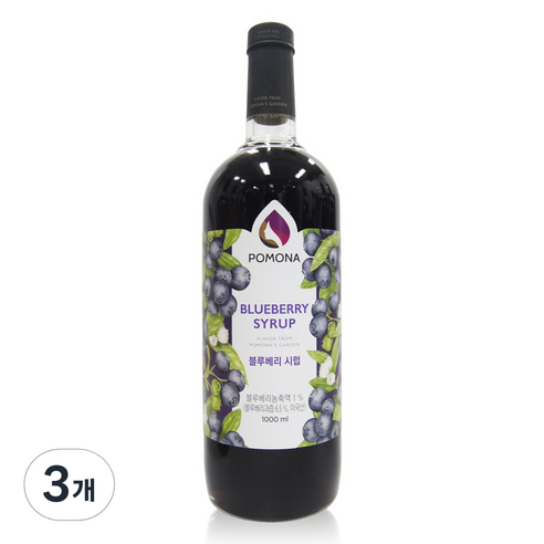 포모나 블루베리 시럽, 3개, 1000ml