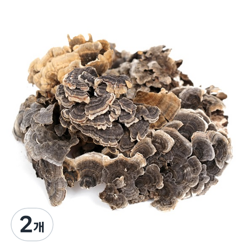 신선약초 운지버섯, 300g, 2개