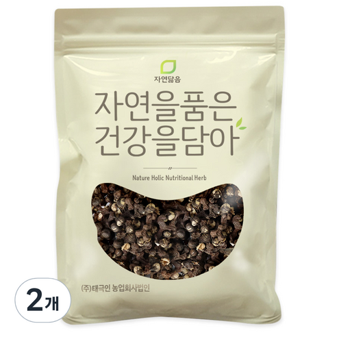 자연닮음 헛개나무 열매, 300g, 2개