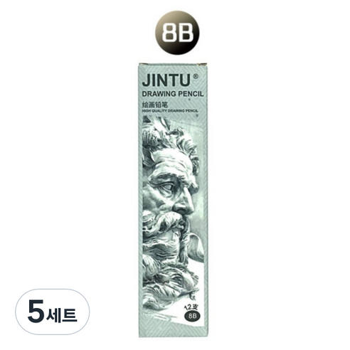 비오엔지 전문가용 드로잉 미술 펜슬 연필 12p 세트, 8B, 5세트