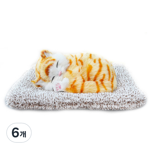 어바인클래스 잠자는 뭉뭉이와냥냥이 제습인형 아메리칸숏, 6개