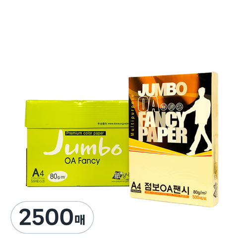 두성종이 OA팬시페이퍼점보 80g 500매입, A4, 2500매