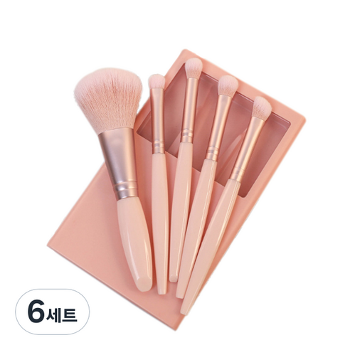 디에스 휴대용 멀티 브러쉬 5종 세트, 코랄, 6세트
