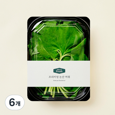 프리미엄 논산 머위, 200g, 6개