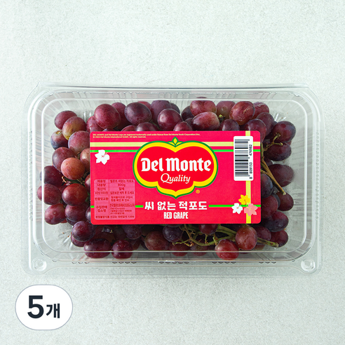 델몬트 칠레산 씨없는 적포도, 5개, 800g