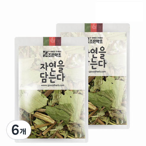 조은약초 프리미엄 삼백초 잎, 100g, 6개