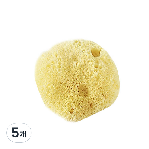 뷰티풀스킨 아기 목욕용 해면 라지, 5개