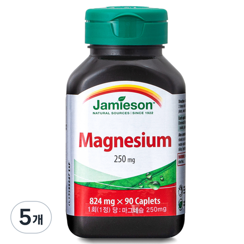 자미에슨 마그네슘 250mg, 90정, 5개