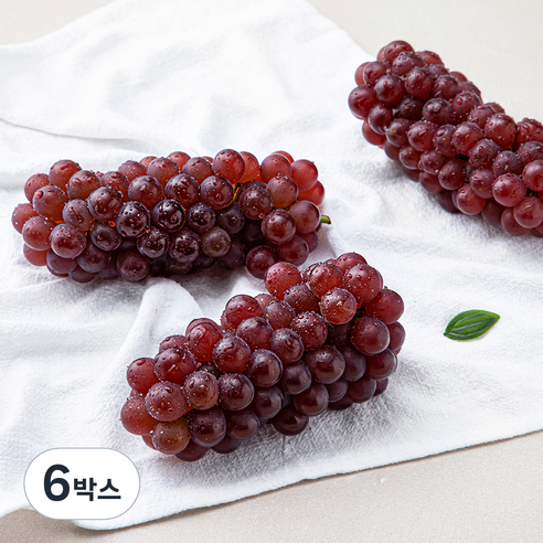 산지직송 아주마 GAP 인증 고당도 델라웨어 포도, 500g, 6박스
