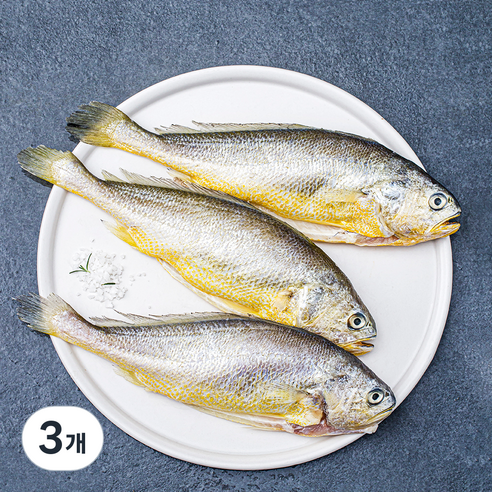 손질 부세, 450g(대,3마리), 3개