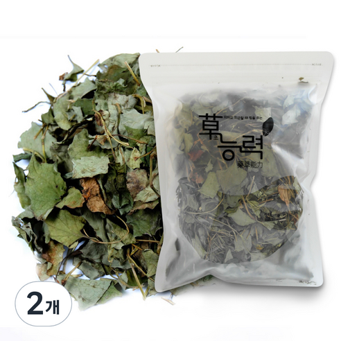 초능력 어성초 한약재료, 100g, 2개
