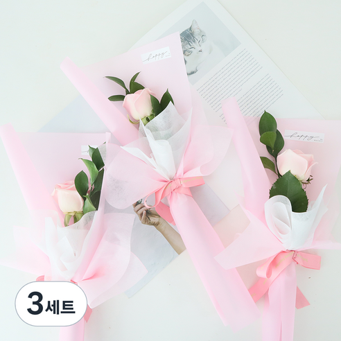 모리앤 생화 부담없는 1송이 꽃다발 장미 3개, 핑크, 3세트