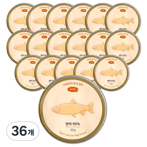 동원아르르 사르르 미니캔 캣 대용량 간식, 연어, 30g, 36개