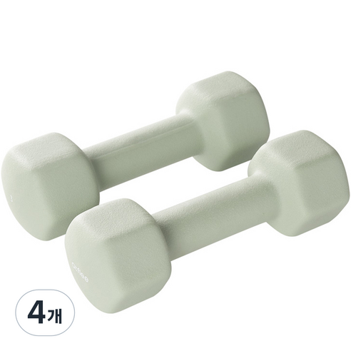 앳플리 LW 미용 아령, 3kg, 4개