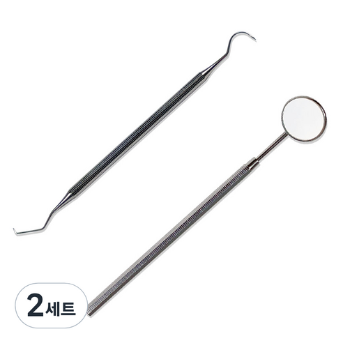 바다르산스 스텐 치석제거기 + 치경세트, 2세트