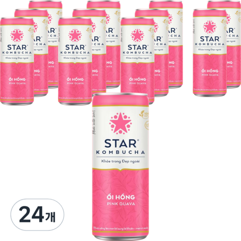 스타콤부차 핑크 구아바, 250ml, 24개