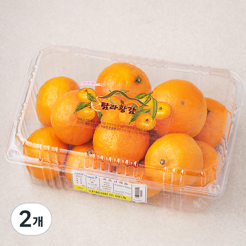 탐라황감 고당도 카라향, 1.2kg, 2개
