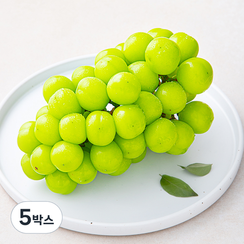 산지직송 아주마 비파괴 당도 선별 영동 상주산 샤인머스켓, 600g, 5박스