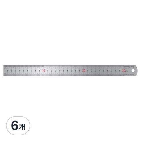 모닝글로리 스테인레스 자 30cm, 혼합색상, 6개