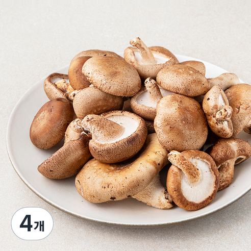 못생겨도 맛있는 표고버섯, 500g, 4개