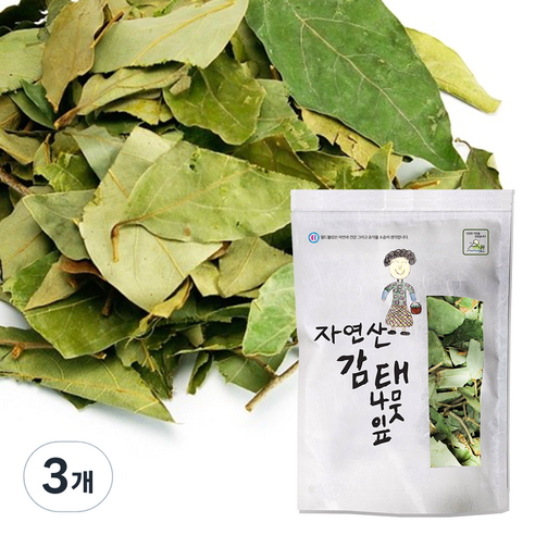 월드블링 국내산 감태나무잎, 500g, 3개