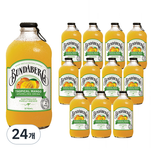분다버그 트로피칼 망고 드링크, 375ml, 24개