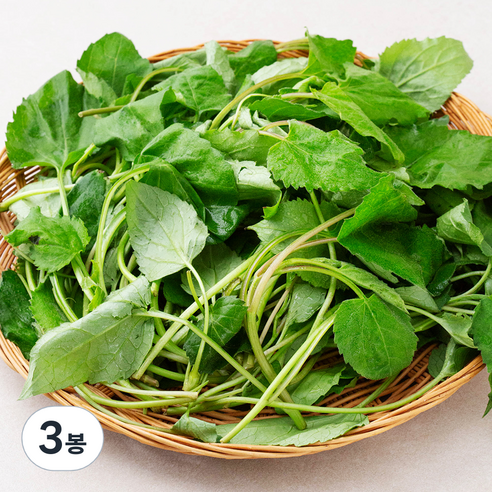 국내산 산취나물, 150g, 3개