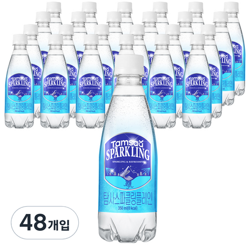 탐사 스파클링 플레인, 350ml, 48개