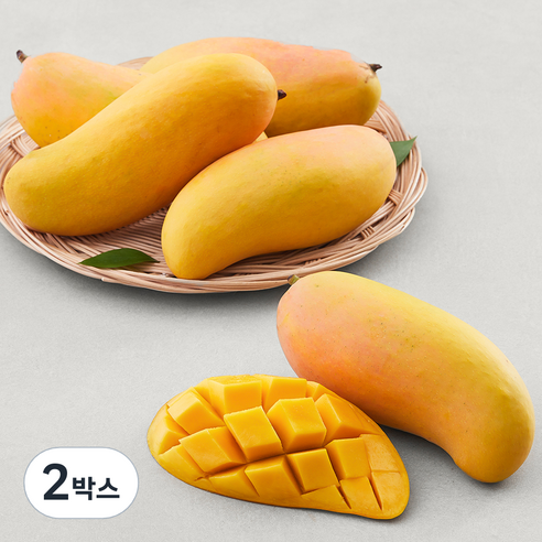 [로켓프레시] 이웃마을 태국 마하차녹 망고