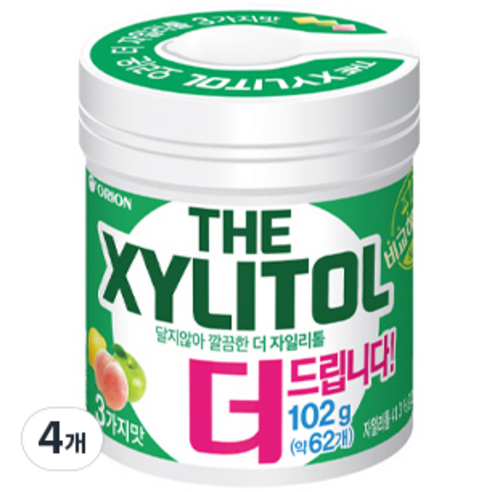 오리온 더자일리톨 츄잉껌, 102g, 4개