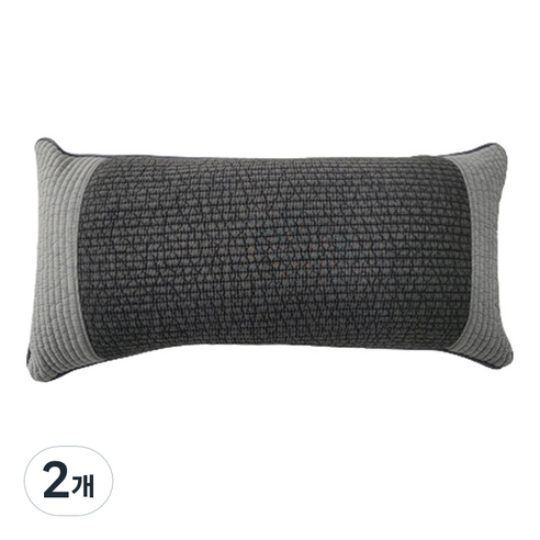 사랑예감 논슬립 밀림방지 사각 바이오칩 베개, 검정색, 46 x 23 cm, 2개