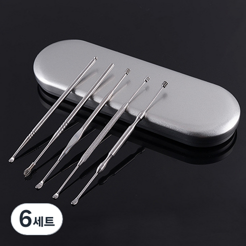 파라디 스텐 귀이개 + 케이스 세트, 6세트