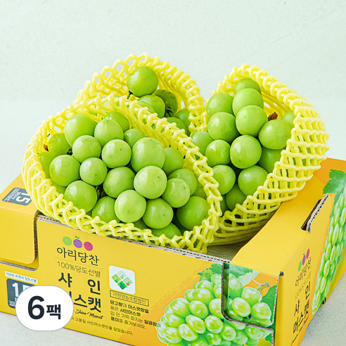 아리당찬 비파괴 당도선별 샤인머스캣, 1kg, 6팩